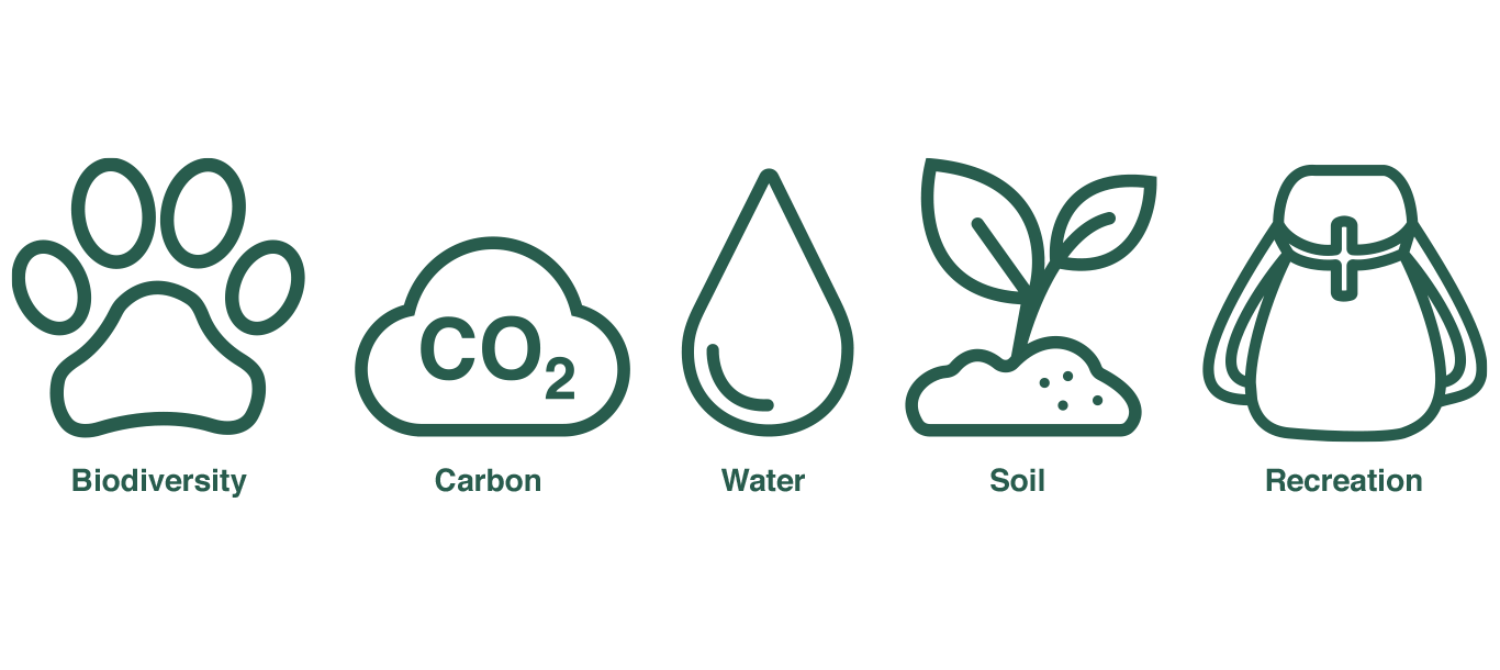 How the FSC System Works  Forest Stewardship Council